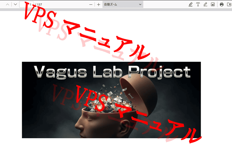 VLP牛島洋平マニュアル